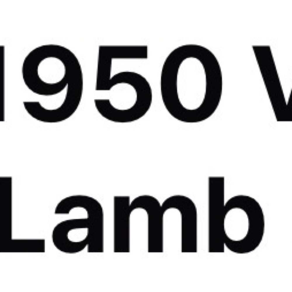 Chic Black Textured Teddy Jacket - image 2